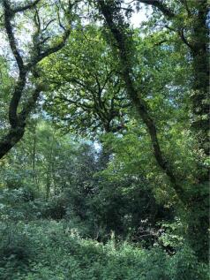 4-bedroom country estate with 2.5 acres in Devon 20