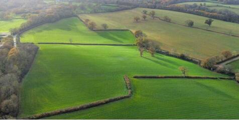 3 bed detached - Combe St. Nicholas, Chard, Somerset, TA20 21